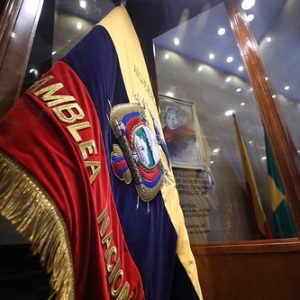 pleno de la asamblea nacional sergio peña