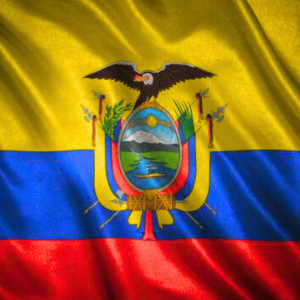 Diseño sin título (8)